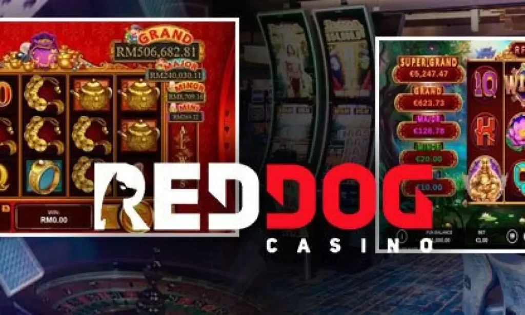 red dog poker -এই চিত্তাকর্ষক ক্যাসিনো গেমের উত্তেজনা প্রকাশ করা